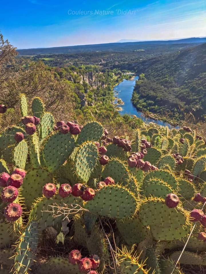 Location Gite En Provence บูแคร์ ภายนอก รูปภาพ